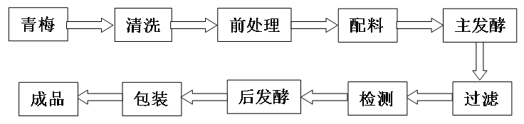 ÷MS88칤